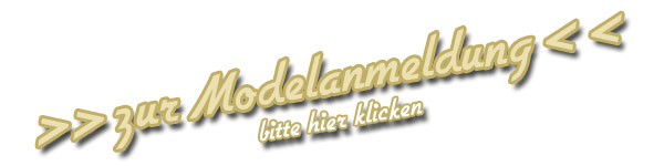 Modelanmeldung