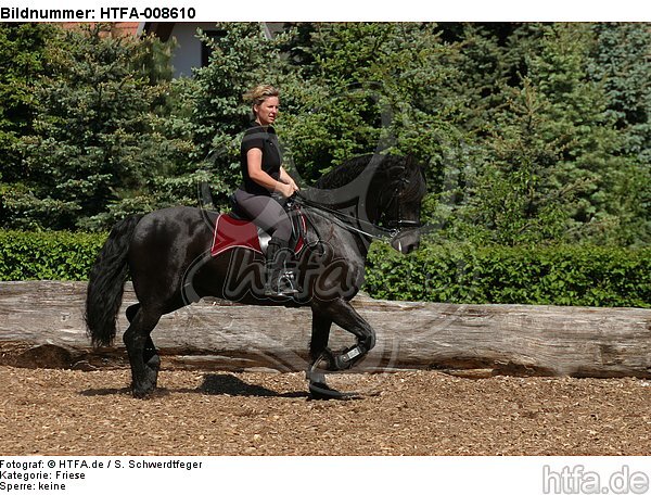 Frau reitet Friese / woman rides friesian horse / HTFA-008610