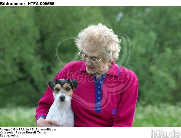 Frau mit Parson Russell Terrier / woman with PRT / HTFA-009599
