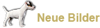 Neue Bilder