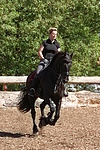 Frau reitet Friese / woman rides friesian horse