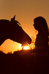 Frau und Deutsches Reitpony im Abendlicht / woman and pony