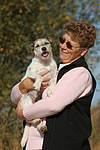 Parson Russell Terrier