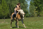 Frau reitet Haflinger / woman rides haflinger horse