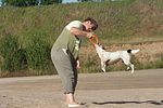 Frau spielt mit Parson Russell Terrier / woman plays with PRT