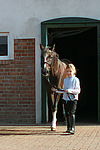Deutscher Reitpony Hengst / pony stallion