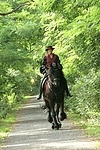 Frau reitet Friese / woman rides friesian horse