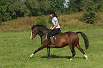 Frau reitet Deutsches Reitpony / woman rides pony