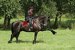 Frau reitet Friese / woman rides friesian horse