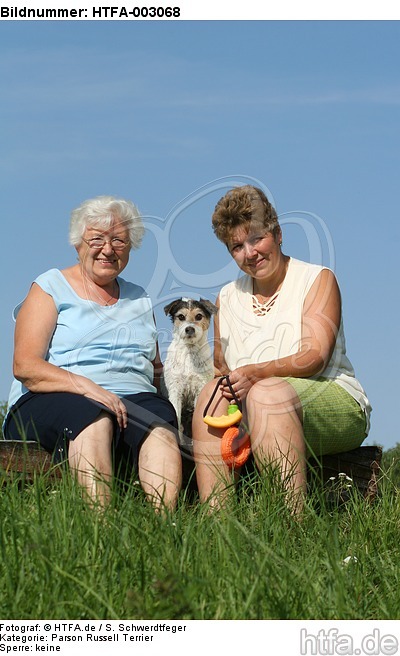 Parson Russell Terrier / HTFA-003068