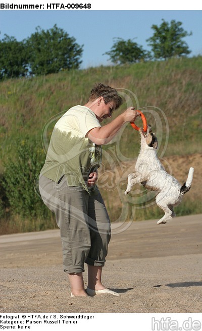 Frau spielt mit Parson Russell Terrier / woman plays with PRT / HTFA-009648