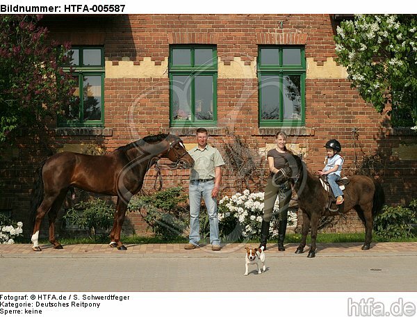 Deutsches Reitpony und Shetland Pony / ponys / HTFA-005587