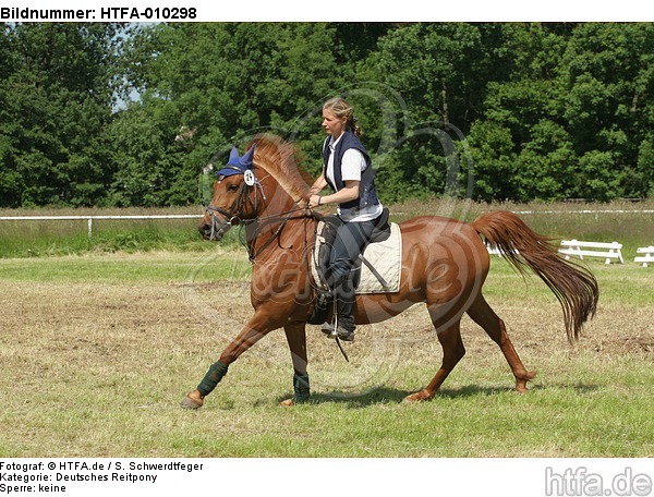 Frau reitet Deutsches Reitpony / woman rides pony / HTFA-010298