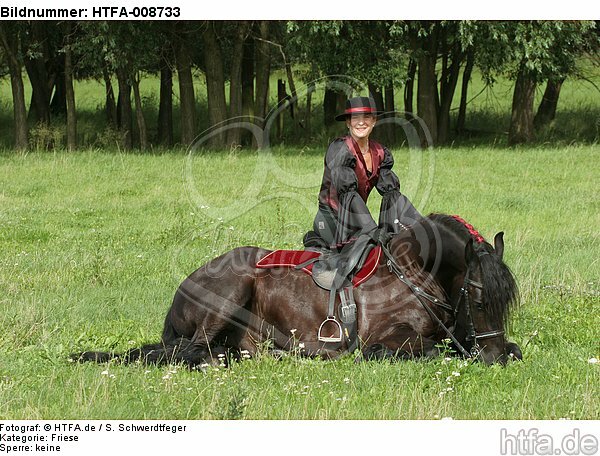 Frau mit Friese / woman and friesian horse / HTFA-008733