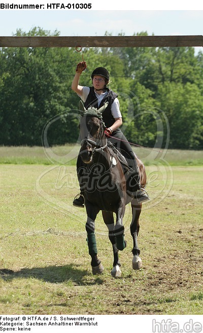 Ringreiten / riding / HTFA-010305