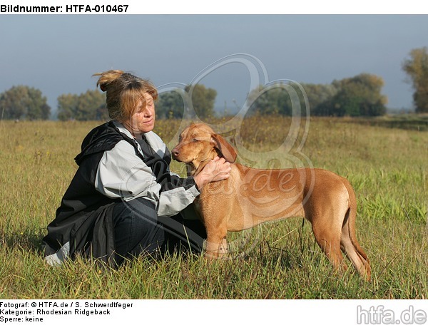 Frau streichelt Rhodesian Ridgeback / woman is fondling Rhodesian Ridgeback / HTFA-010467