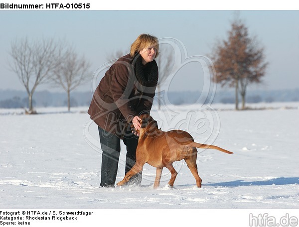 Frau mit Rhodesian Ridgeback / woman with Rhodesian Ridgeback / HTFA-010515